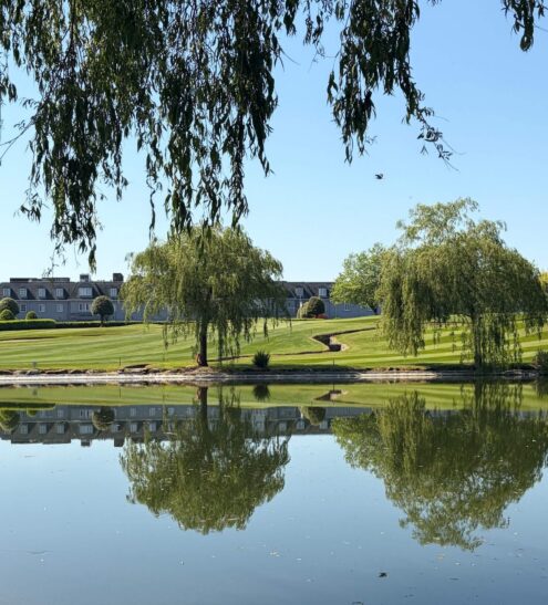 Serene hotel lake view with lush gardens, scenic pathways, and elegant architecture under a clear blue sky.