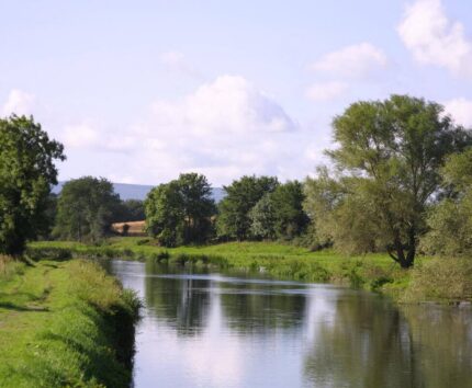 Serene river view with lush greenery, inviting guests for a peaceful stay. Perfect for nature walks and countryside relaxation.