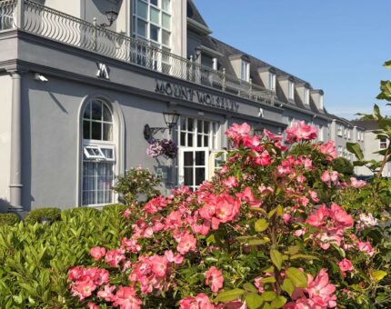Elegant hotel exterior with colourful roses under a clear blue sky, highlighting a luxurious and welcoming atmosphere.