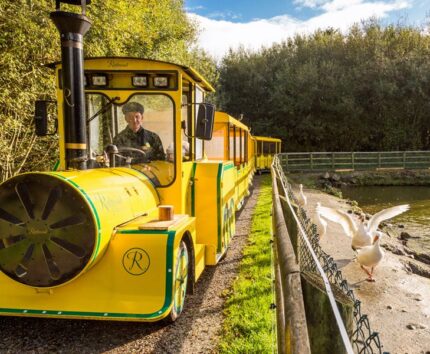 rathwood express train