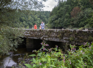 St. Mullins 
