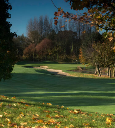 Autumn golf image