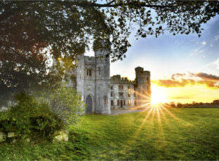 Duckett’s Grove