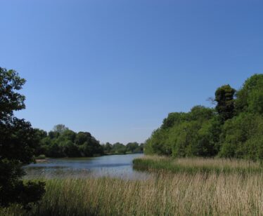 Oak Park Forest Park pic07
