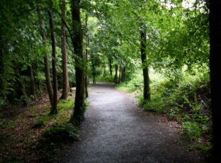 Rathwood Forest Walks