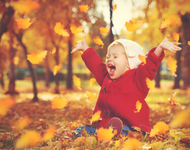 Autumn Offers