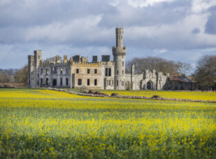 Duckett’s Grove