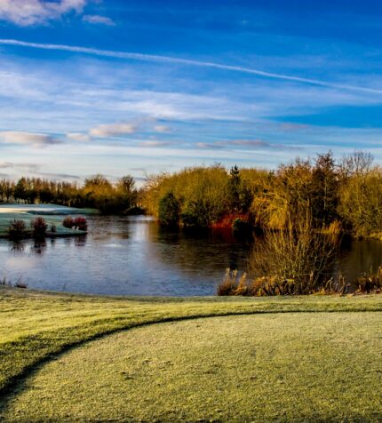 12-mwgcfrost2012_0050