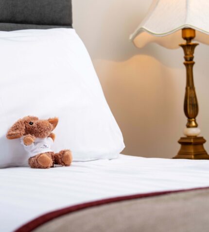 Cosy hotel room with plush bed, elegant lamp, and charming teddy, offering a warm and inviting stay.