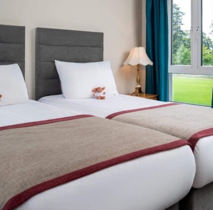 Bright twin room with plush beds, elegant lamp, and a scenic view of green gardens through large window; perfect for relaxation.